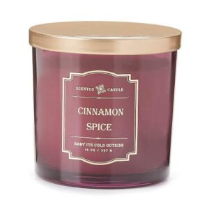 cinnamon spice candle